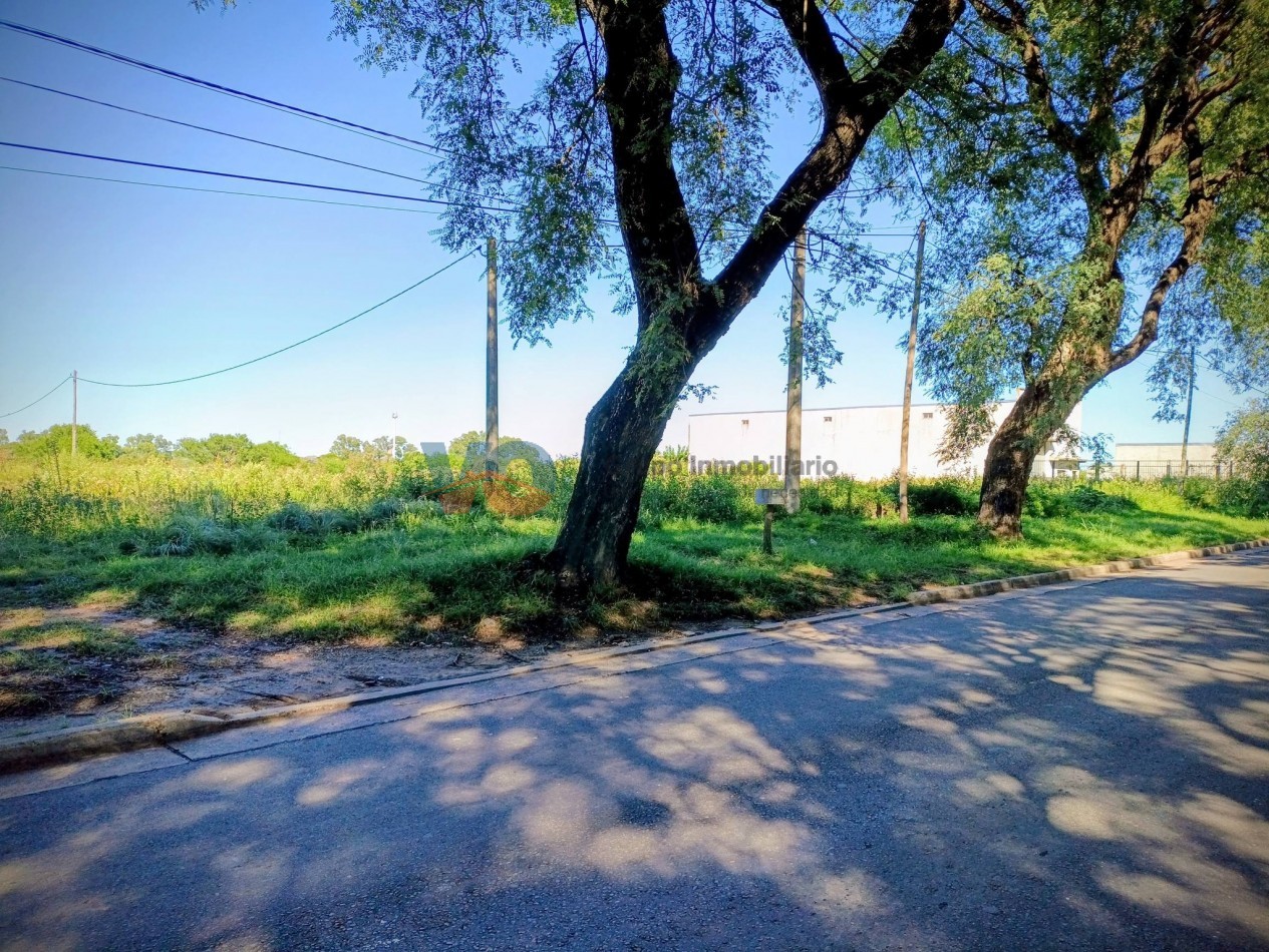  VENTA DE LOTES Sobre Av. Almafuerte Lotes de 300 m² , 2 lotes de 600 m² (de lado a lado de la manzana)