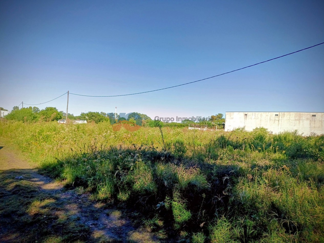  VENTA DE LOTES Sobre Av. Almafuerte Lotes de 300 m² , 2 lotes de 600 m² (de lado a lado de la manzana)