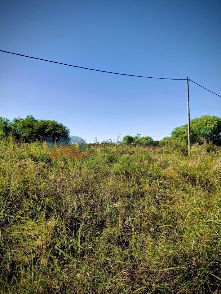  VENTA DE LOTES Sobre Av. Almafuerte Lotes de 300 m² , 2 lotes de 600 m² (de lado a lado de la manzana)